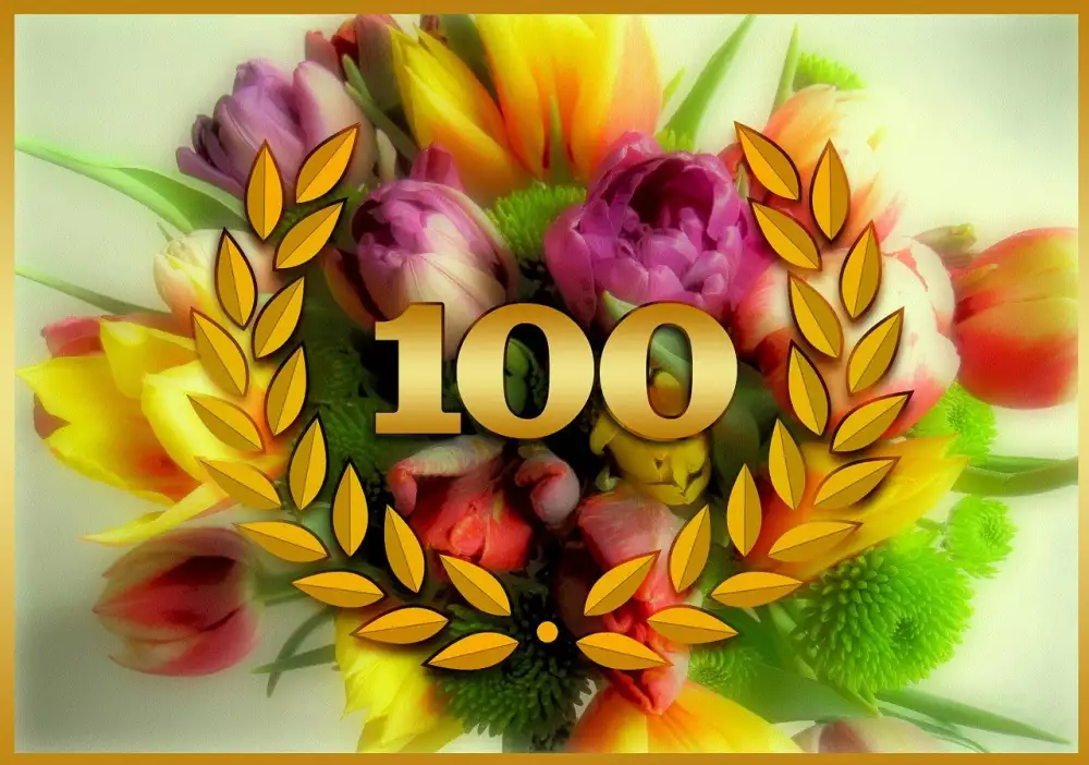 Honor 100