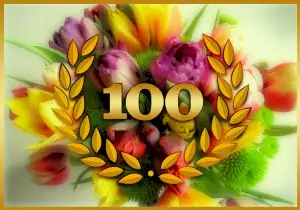 Honor 100