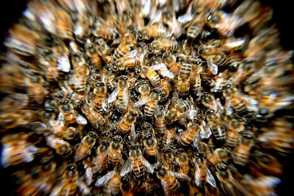 Niceboy Hive Pods 3 Ultra Recenze