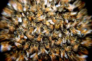 Niceboy Hive Pods 3 Ultra Recenze