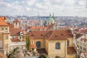 Rzp.cz Vyhledávání