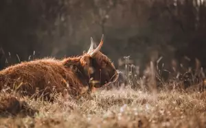 Jak Psát Smajlíky Na Klávesnici